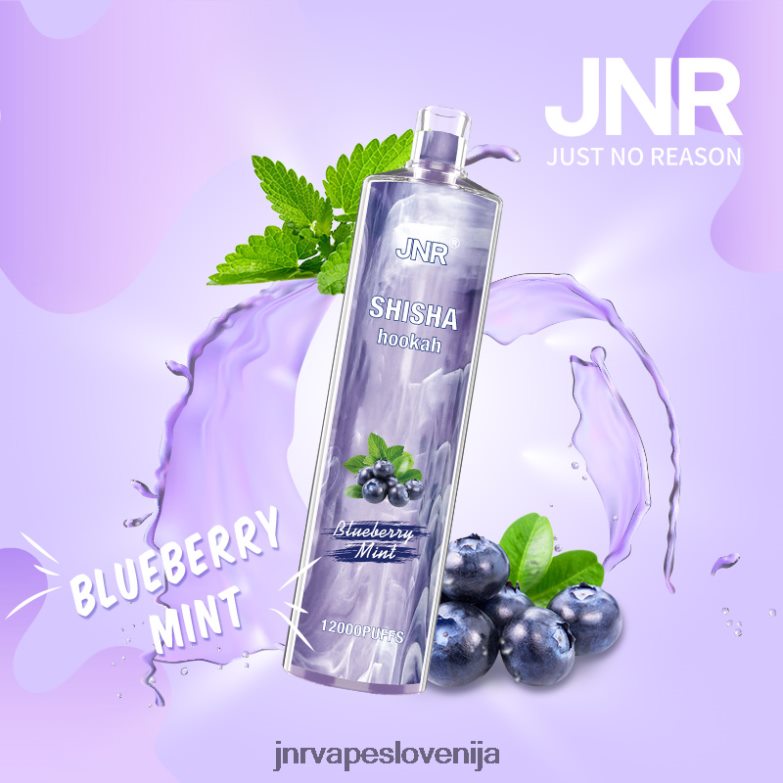 jnr šiša - JNR Vape Slovenija XBFH8L172 borovničeva meta