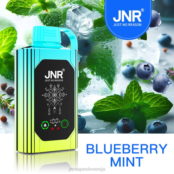 JNR SHISHA škatla | JNR Vape Price borovničeva meta N0NT88